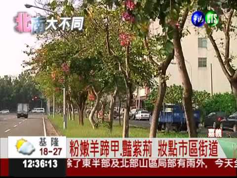 南台灣繁花盛開 賞花輕鬆愜意