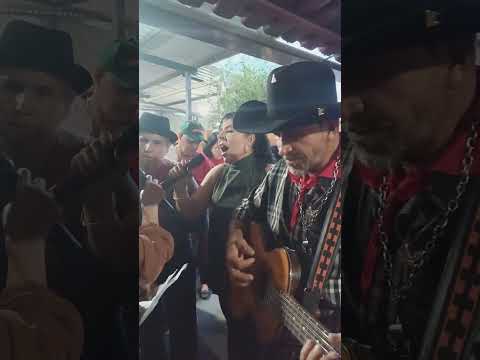 Folia de Reis de Itaguari-GO cantando homenagem ao capitão Luizinho 