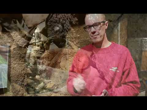 Nye, giftige skønheder flytter ind