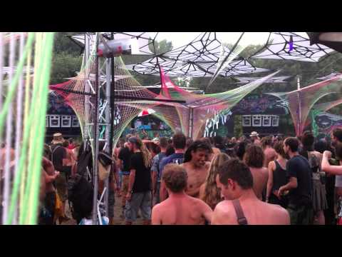 Psycrowdelica 2013 All Gauchos