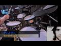 Bob Schneiders - BULLETS from his album Lonelyland