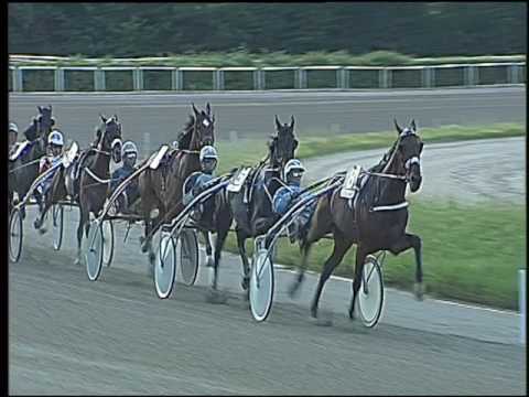 Trotto 02/06/2016 - 6° corsa