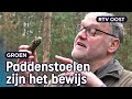 Dit is hoe een simpel weiland een uniek natuurgebied werd | RTV Oost