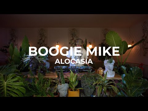 Boogie Funk & Classic Disco at the jungle by Boogie Mike at Casa Sanz - Alocasia TV Santiago