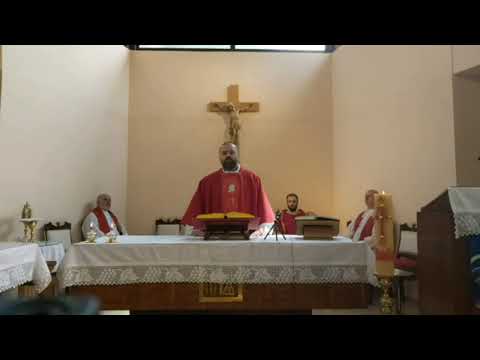 Idite i propovijedajte Evanđelje svemu stvorenju (p. Sebastian Šujević)