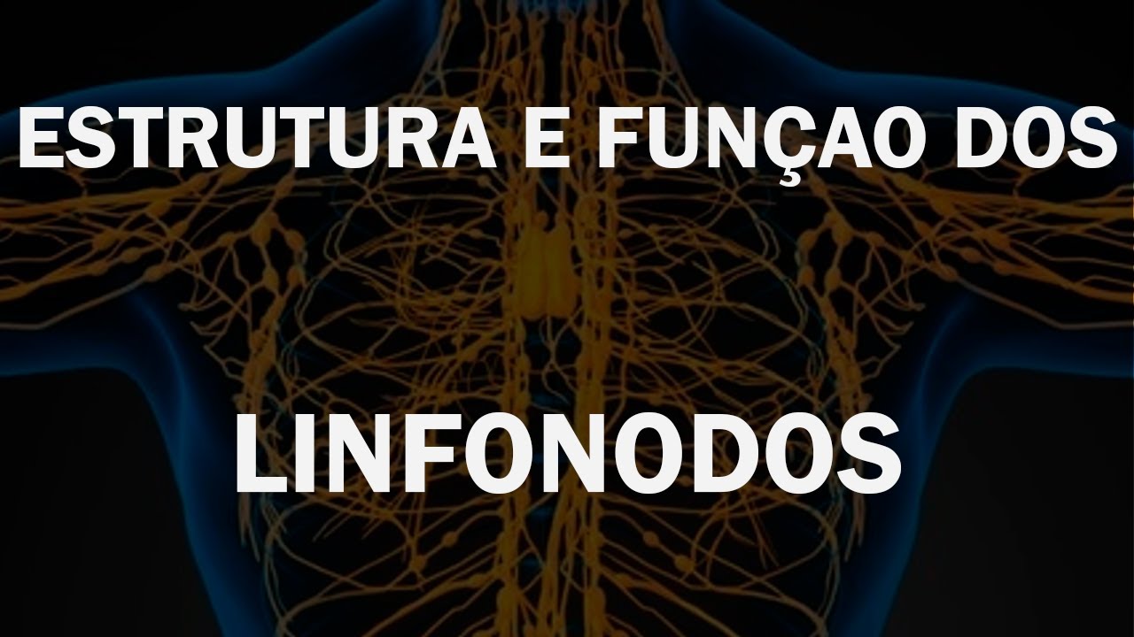 Linfonodos: Função e Importância no Sistema Imunológico