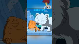 KLAUS É O BICHO MAIS FOFO DO MUNDO