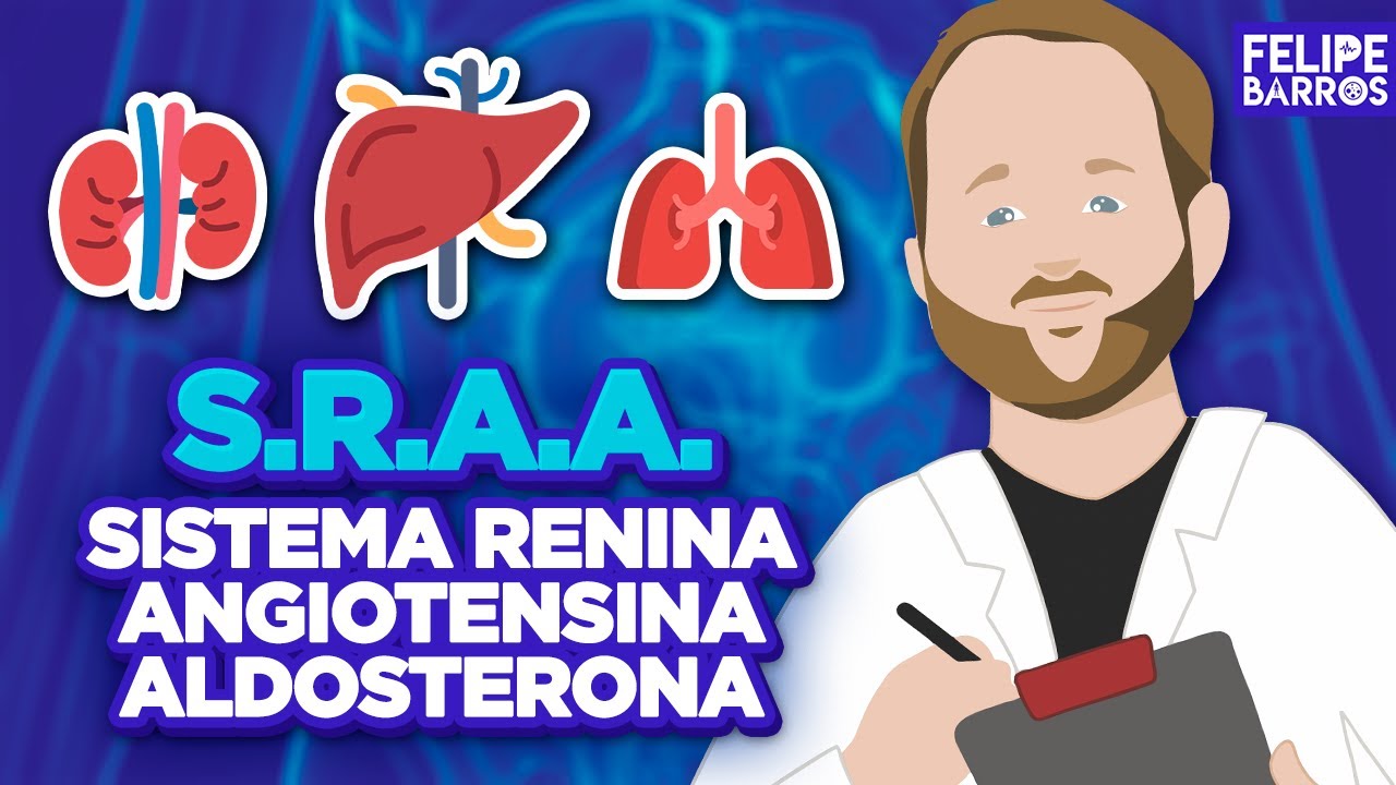 REGULAÇÃO DA PRESSÃO ARTERIAL (SRAA) l Prof. Felipe Barros