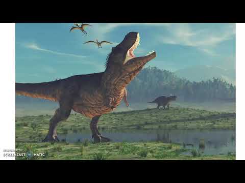 Earth History Project