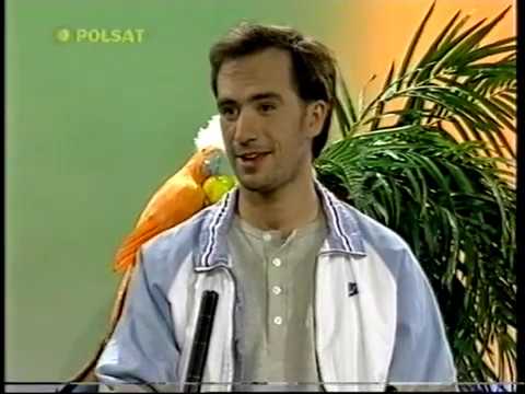 Lato z Disco Relax 1995 (Vabank)