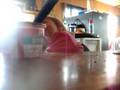 Grace Eating Lasagna