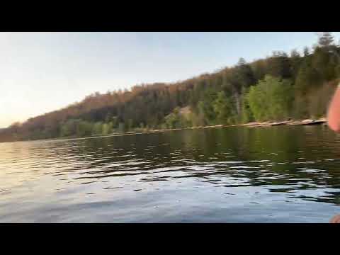 Lake CDA pike net fail