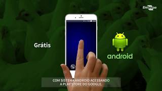 Miniatura do vídeo