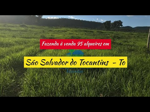 Fazenda à venda 95 alqueires em São Salvador do Tocantins - To