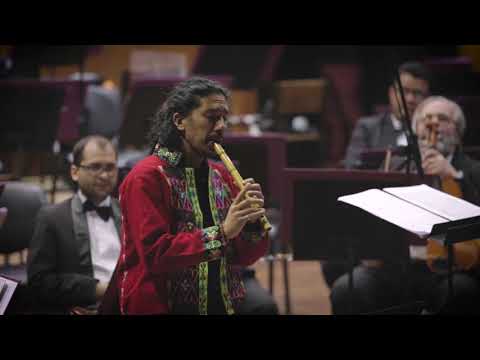 "CAMINO DE LLAMAS" -Quena-