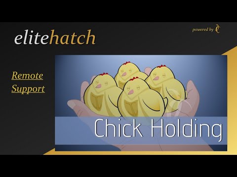Chick Holding Room Dimension Requirements
