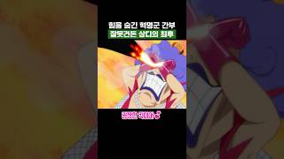 원피스) 힘을 숨긴 혁명군 간부 잘못건든 상디의 최후