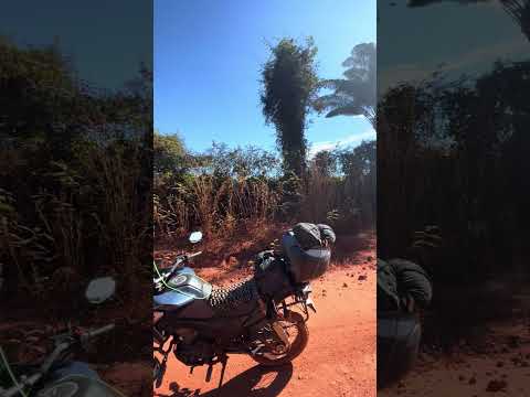 MT-322 no Mato Grosso, Parauapebas—colider  #automobile #viagem #liberdade