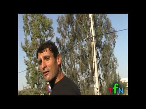 Athens Historical Marathon Race of 37 km.  First Historical Miltiadian  Marathon in Athens 2009