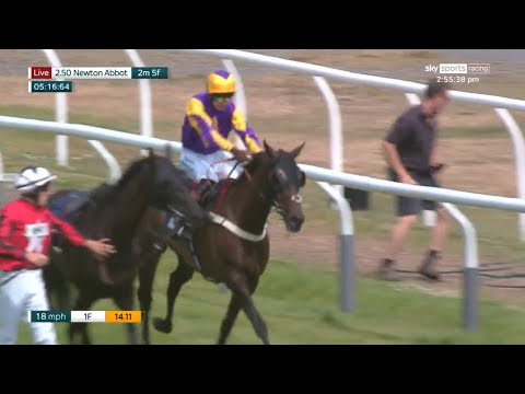 What a BONKERS race! 999/1 winner you couldn't have predicted! 🤯