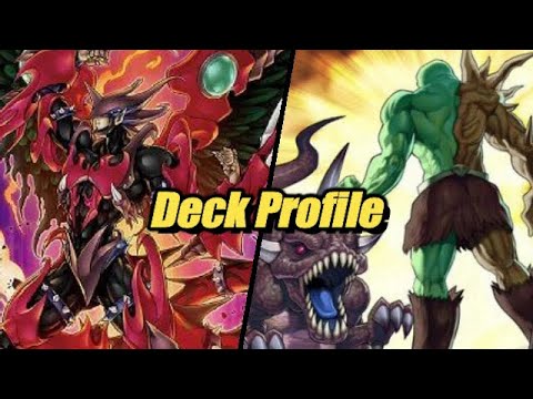 Go 2nd (GOD TIER) Hero Deck Profile May 2022 - Yu-Gi-Oh! TCG