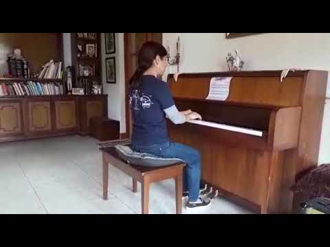 Marcha Oso hormiguero