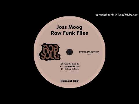 Joss Moog - Turn the Music On