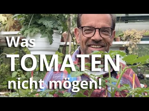 , title : 'Gemüsegarten: Was Tomaten GAR NICHT mögen'