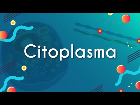 Cytoplasm - Brazil School