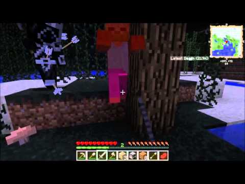 Cappsi hrá FTB DW20 w/MIROO [SK] ep. 1 - Po dlhej dobe sme opäť spolu :) (HĐ)