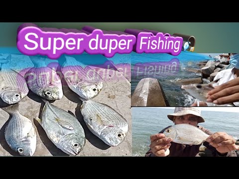 BEACH Fishing 🎣 trip