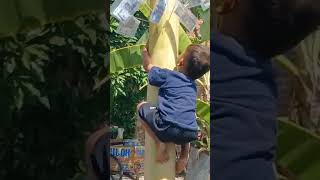 Download lagu lucu dan ngakak anak kecil panjat pinang batang pohon pisang #17agustus2023 #indonesia #indramayu mp3 Download lagu lucu dan ngakak anak kecil panjat pinang batang pohon pisang #17agustus2023 #indonesia #indramayu mp3