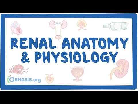 Potassium homeostasis an Osmosis Preview