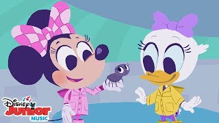 Itsy Bitsy Spider | 🎼 Disney Junior Music Nursery Rhymes | Disney Junior