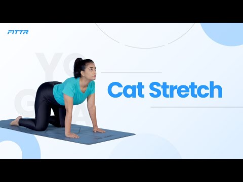 Cat Stretch/ Bidalasana/ Marjariasana