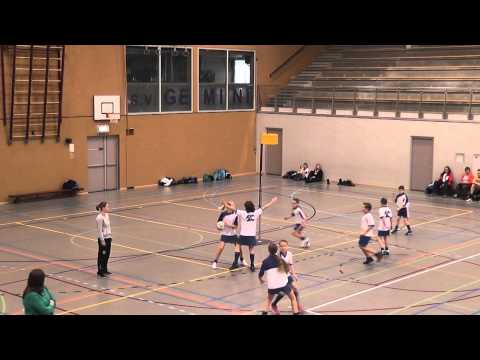 Phoenix D1 Meervogels D3 1