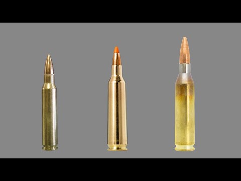 223 vs 22-250 vs 243