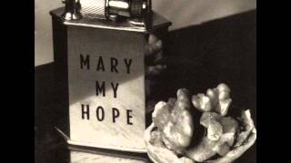 mary my hope salvation bus