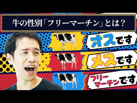 Nuvola アプリ gaim.png