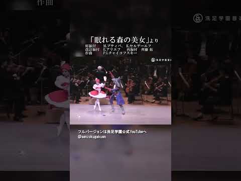 眠れる森の美女 より