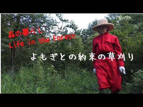 , title : '60代一人暮らし田舎暮らし移住40年vlog｜午後2時から始まる夕食と日が沈むまでの時間'