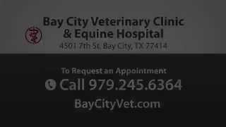 preview picture of video 'Bay City Vet - Short | Bay City, TX 77414'