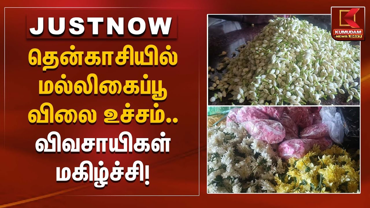 தென்காசியில் மல்லிகைப்பூ விலை உச்சம் – விவசாயிகள் மகிழ்ச்சி! | Tenkasi jasmine price| Kumudam News