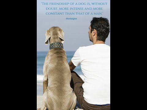 The Boy And His Dog friendship