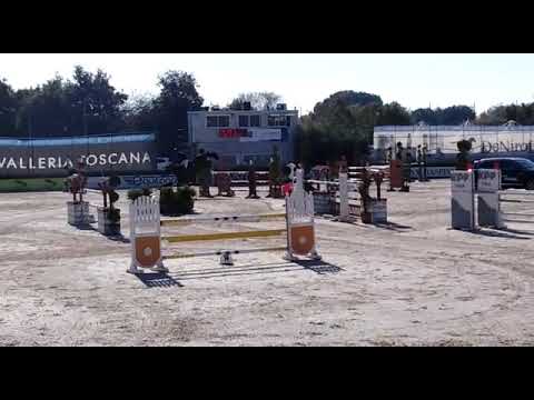 WINNING ROUND 135 AREZZO ZIROCCO BLUE X CANTURANO 6YO SOLD TO ITALY