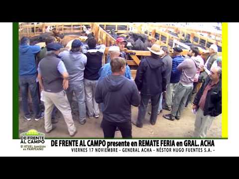 DE FRENTE AL CAMPO junto a NÉSTOR HUGO FUENTES S.A. - 17/11/2017-2° PARTE-