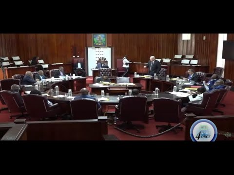 OPPOSITION LEADER ALLEN CHASTANET PUSHES  BACK ON CONTROVERSY SURROUNDING THE SALE OF THE DAHER MALL