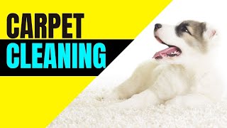 🔴 20 TIPS OF CARPET CLEANING PROS! // BEST CARPET CLEANING MACHINES // CARPET CLEANING EQUIPMENT