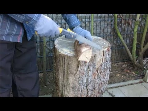 Lidl Florabest Klappsäge im Vergleich zu Tajima G-Saw