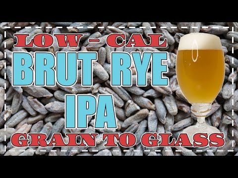 BRUT RYE IPA - Grains of Paradise - Low Calorie - Low Carb - Grain to Glass - Brew Your Own - G2G